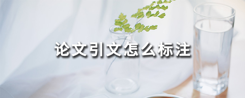 論文引文要怎么標(biāo)注?