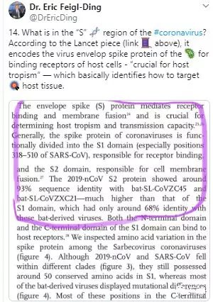 2019-nCoV表面的特異性糖蛋白機理