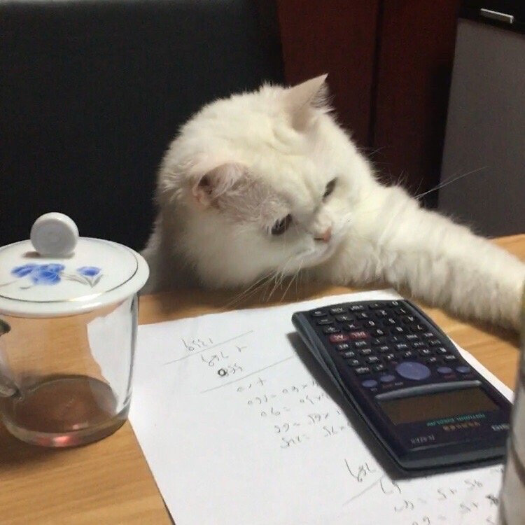 查重系統(tǒng)為什么會(huì)變得越來越商業(yè)化呢？