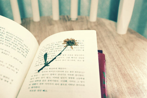 代寫的相關途徑與識別正規(guī)代寫機構的方法