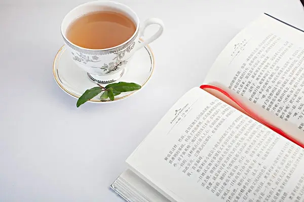 免費論文查重