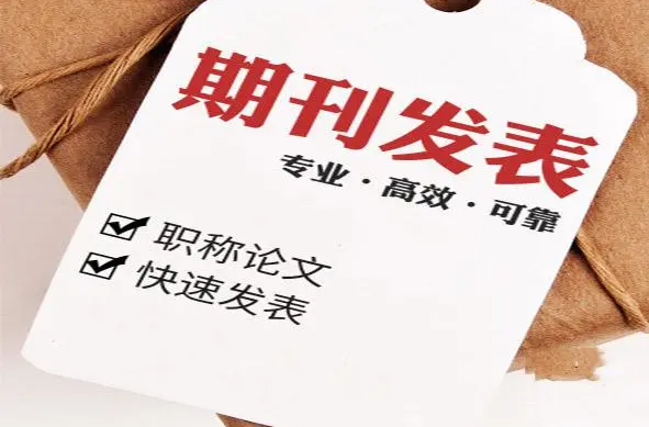 論文期刊發(fā)表
